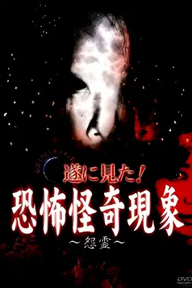Paranormal THE Documentary: Finally Witnessed! Terrifying and Strange Phenomena - Resentful Spirits poster