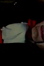 Night of the Living Dummy II poster