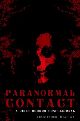 Paranormal Contact: A Quiet Horror Confessional poster
