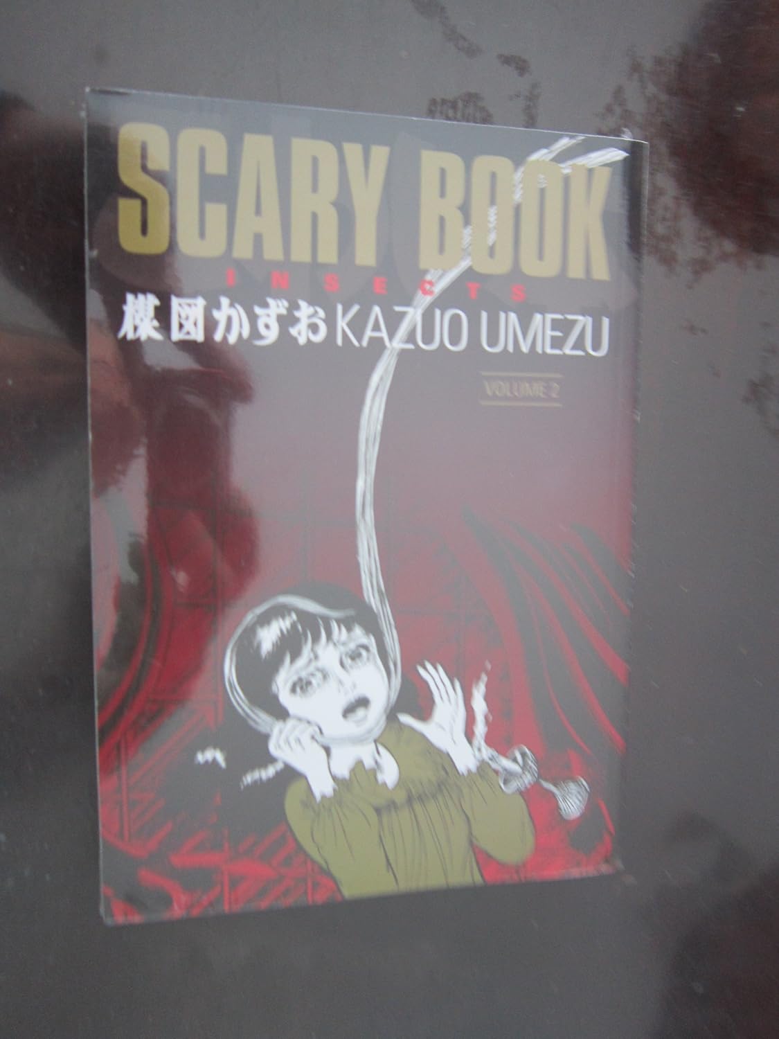 Scary Book Volume 2: Insects poster
