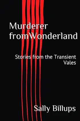 Murderer fromWonderland: Stories from the Transient Vales poster