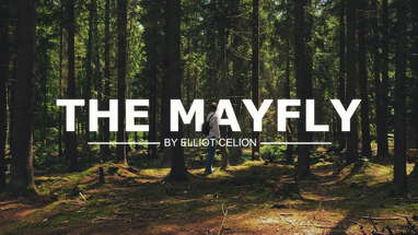 The Mayfly - Short Film poster