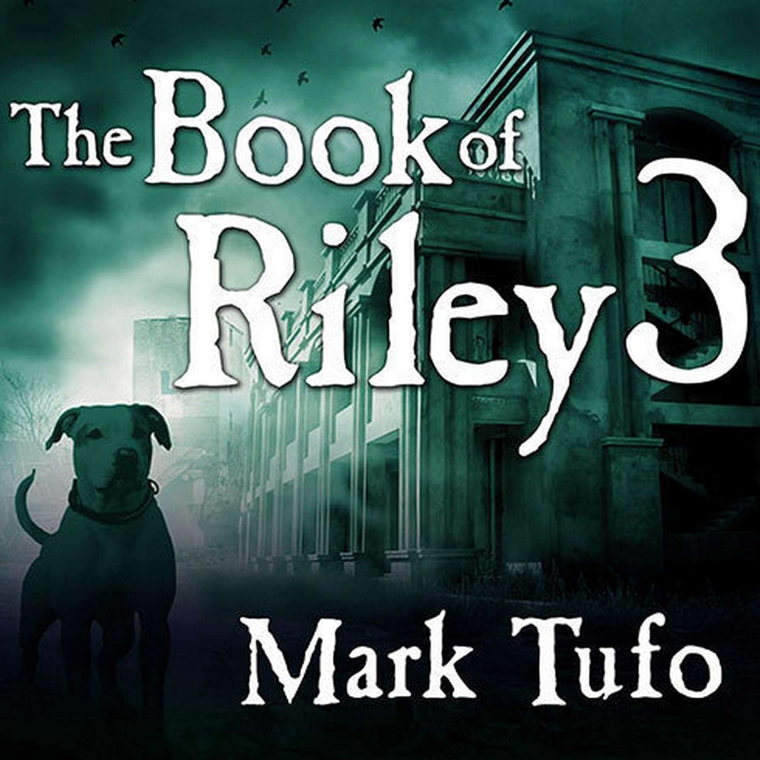 The Book of Riley 3: A Zombie Tale (The Book of Riley Series) poster