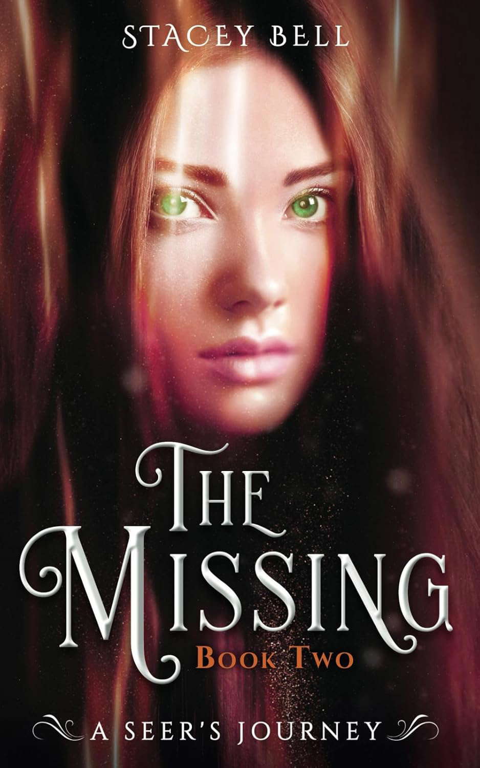 The Missing: A Seer's Journey poster