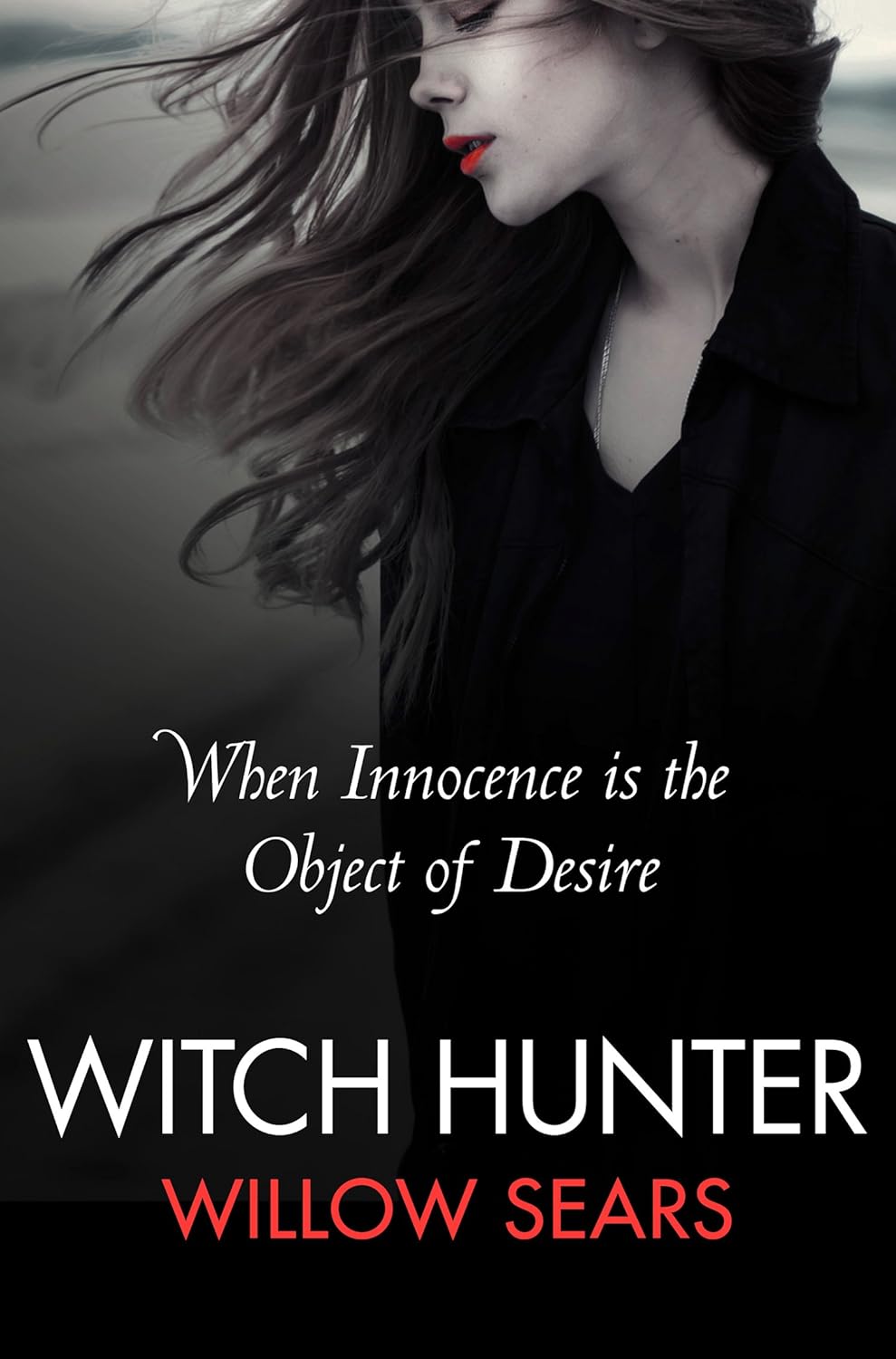 Witch Hunter poster