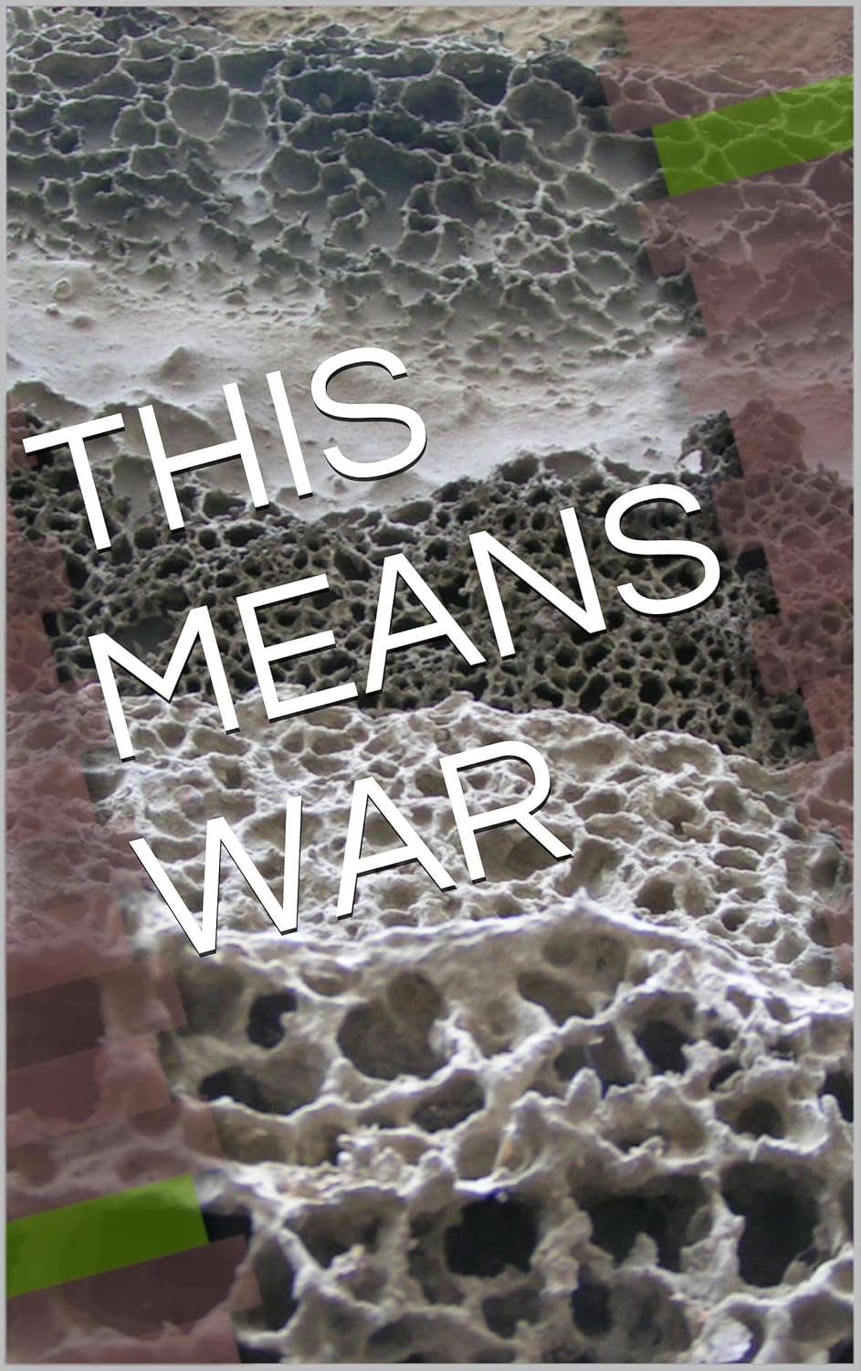 THIS MEANS WAR poster
