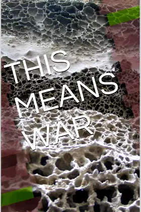 THIS MEANS WAR poster