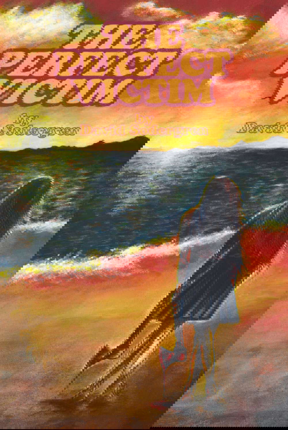 The Perfect Victim poster