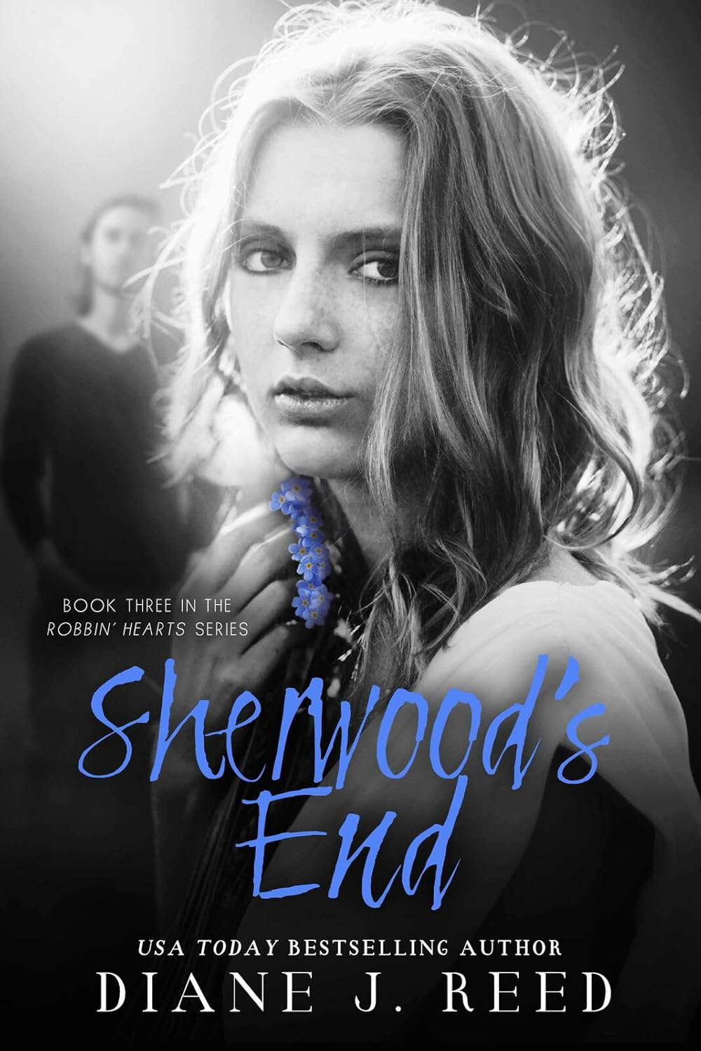 Sherwood's End (Robbin' Hearts Series Book 3) poster