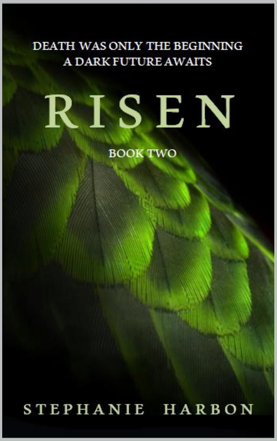 Risen (The Firebird Trilogy Book 2) poster