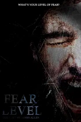 Fear Level poster
