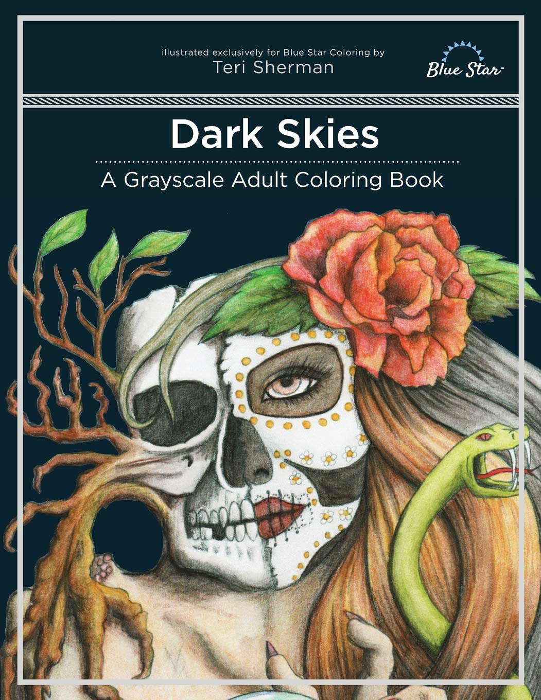 Dark Skies: A Grayscale Adult Coloring Book poster