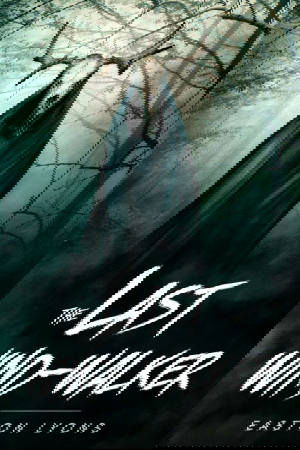 The Last Wind-Walker (The Wind-Walker Saga) poster