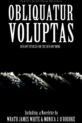 Obliquatur Voluptas poster
