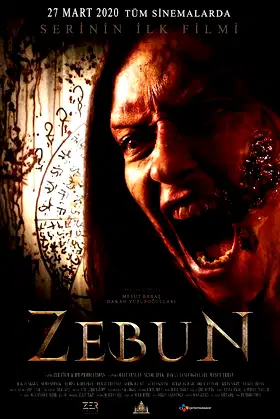 Zebun poster