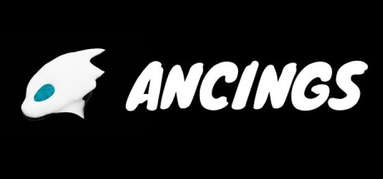 Ancings: The First Tournament capsule