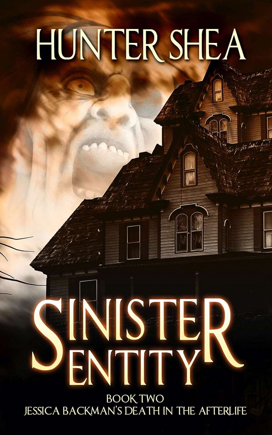 Sinister Entity: Book Two : Jessica Backman's Death in the Afterlife poster