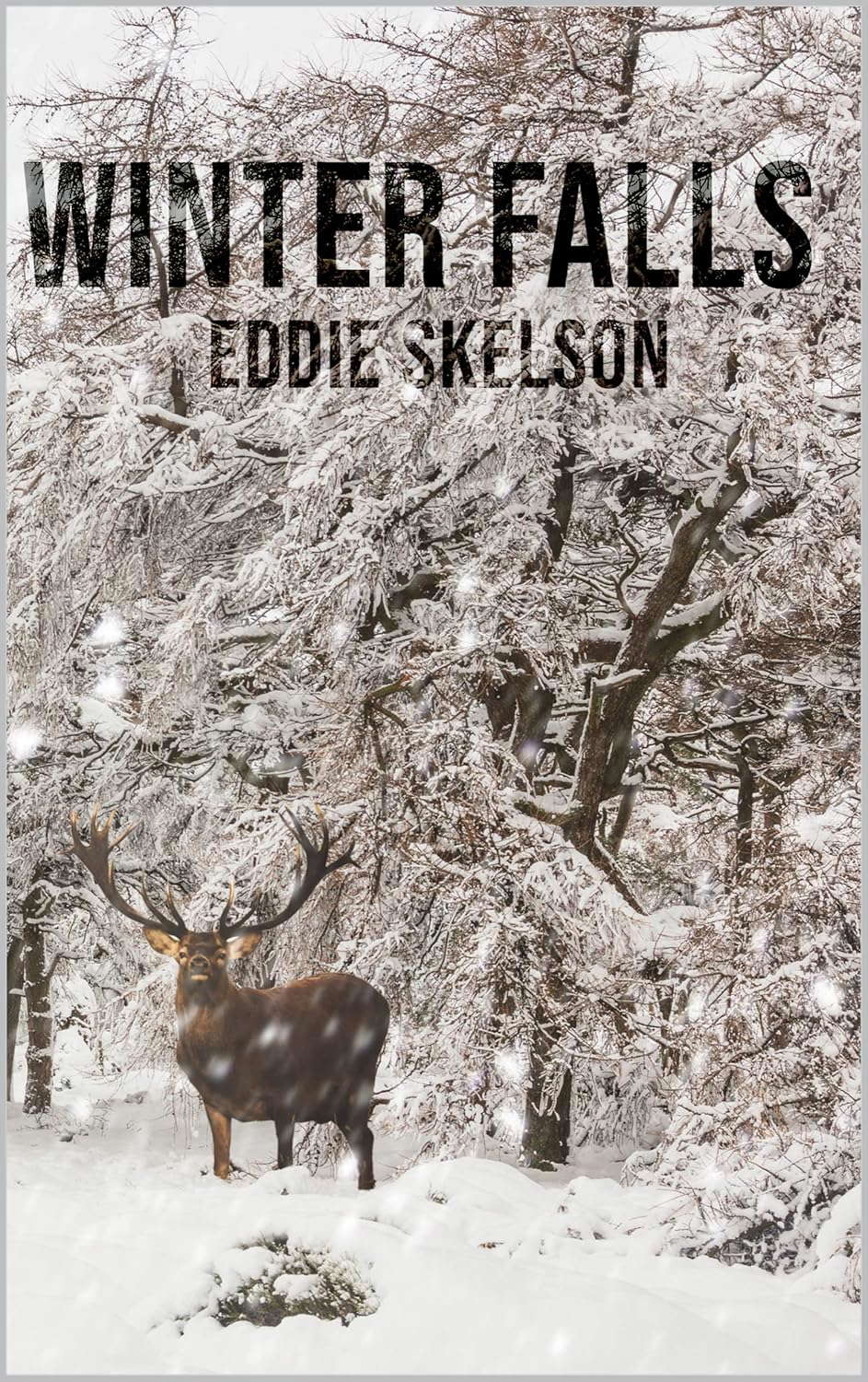 Winter Falls poster