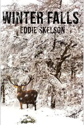 Winter Falls poster