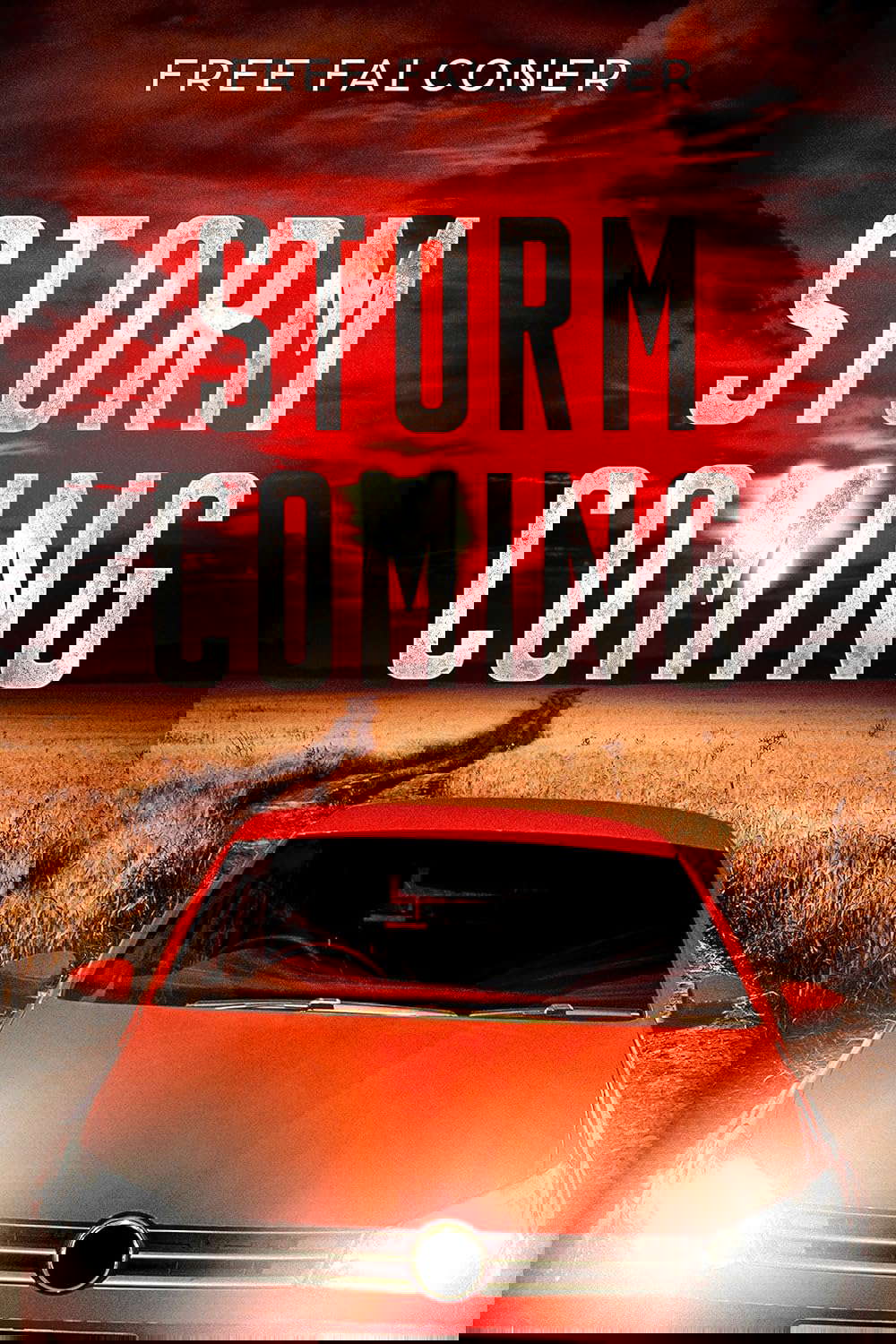 Storm Coming poster