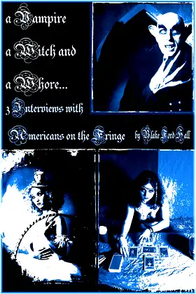 A Vampire, a Witch and a Whore: 3 Interviews with Americans on the Fringe poster