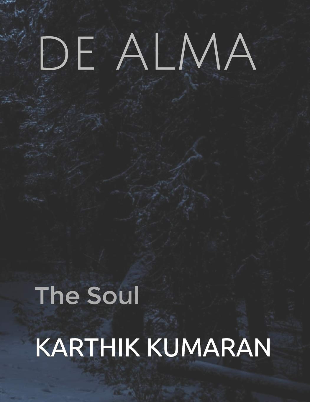 de ALMA: THE SOUL poster