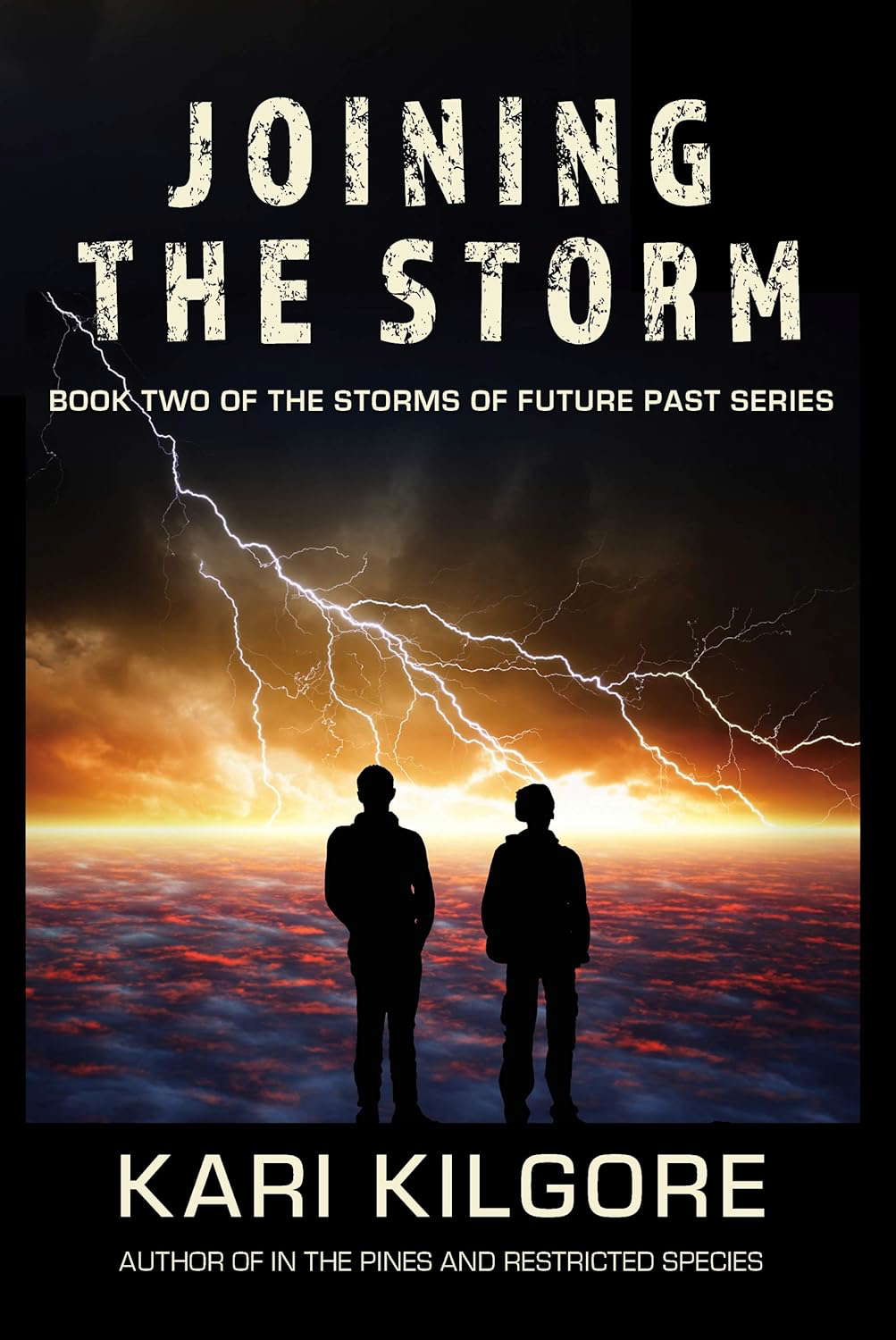 Joining the Storm (The Storms of Future Past Series Book 2) poster