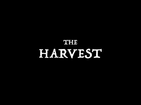 The Harvest- A short film