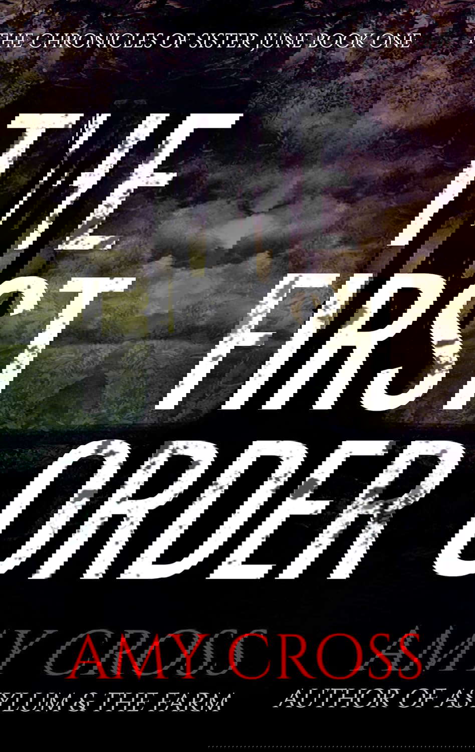 The First Order (The Chronicles of Sister June Book 1) poster