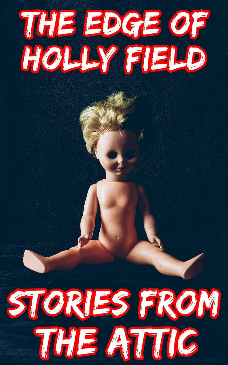 The Edge Of Holly Field : A Short Scary Story poster