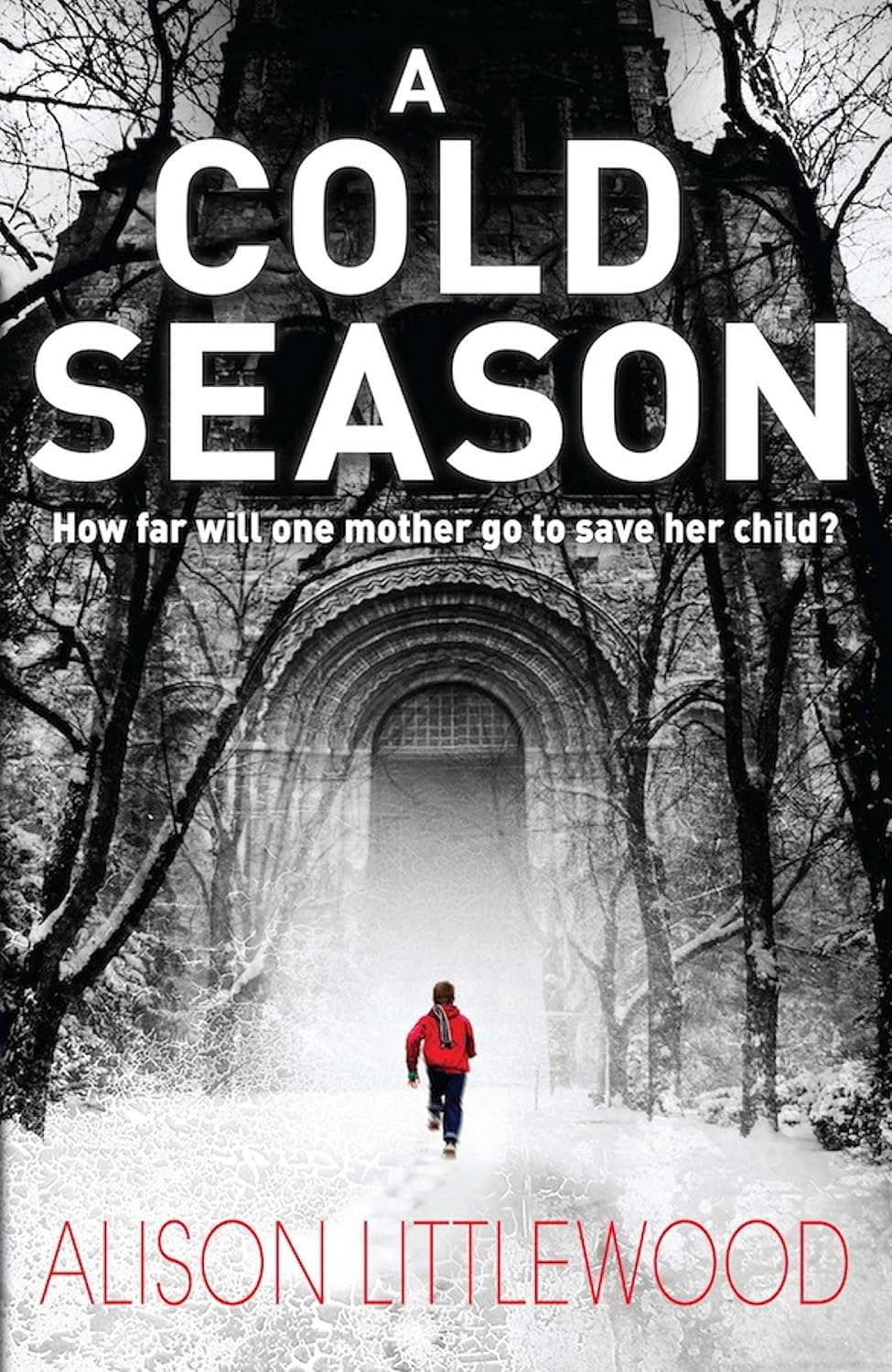 A Cold Season: The Chilling Richard and Judy Bestseller! (The Cold Book 1) poster
