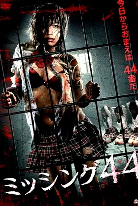 Missing 44 poster