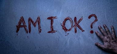 AM I OK? capsule