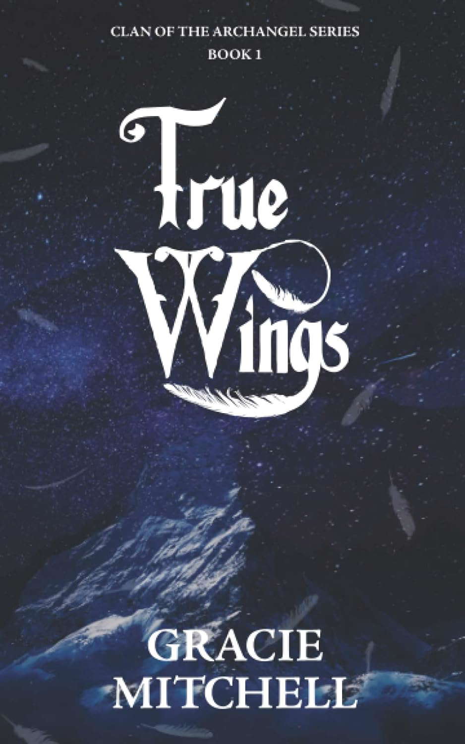 True Wings: Clan of the Archangel Series poster