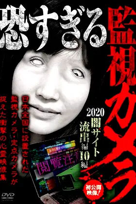 Extremely Scary Surveillance Camera 2020: Dark Web Leaks Edition - 10 Clips poster