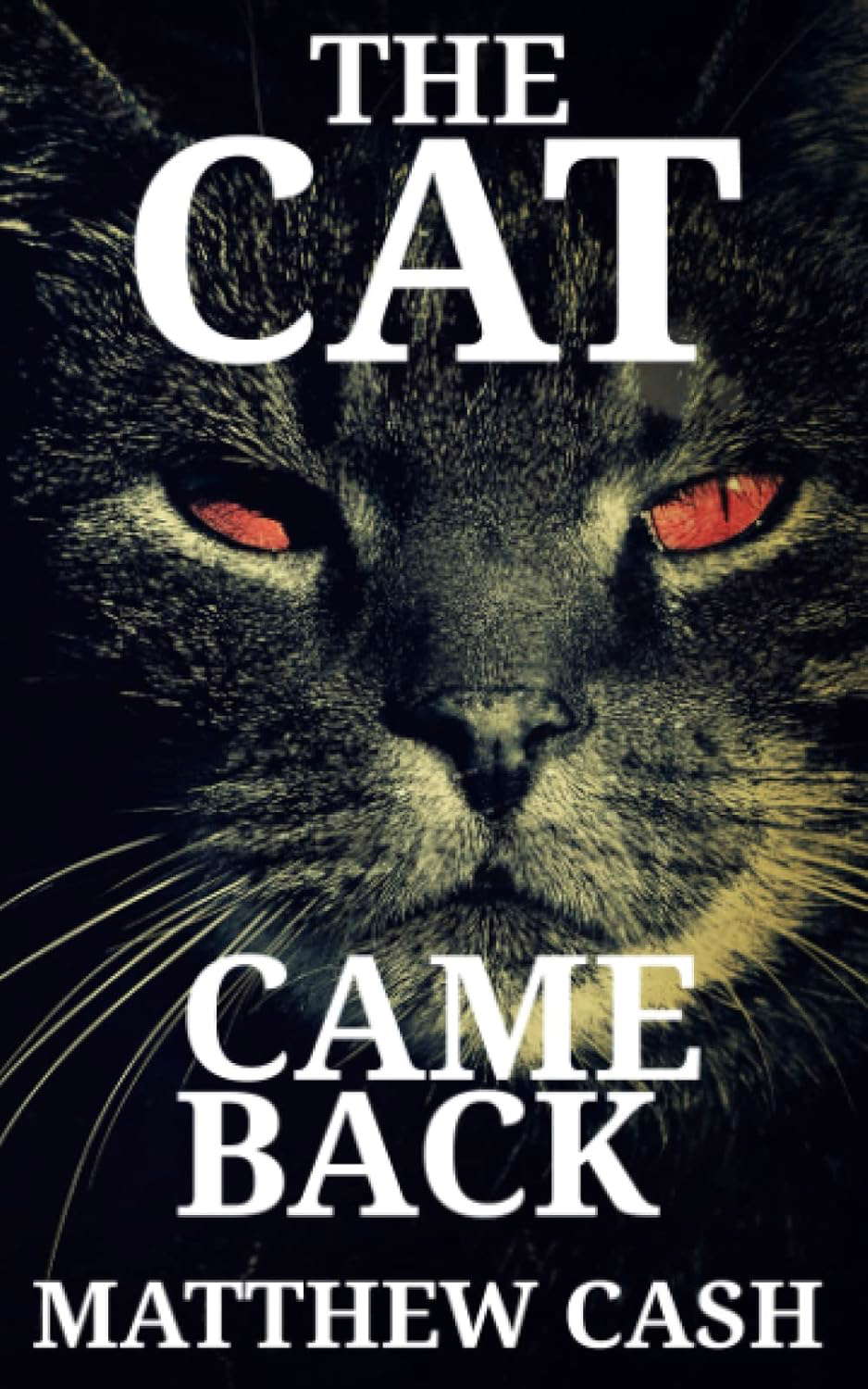 The Cat Came Back poster