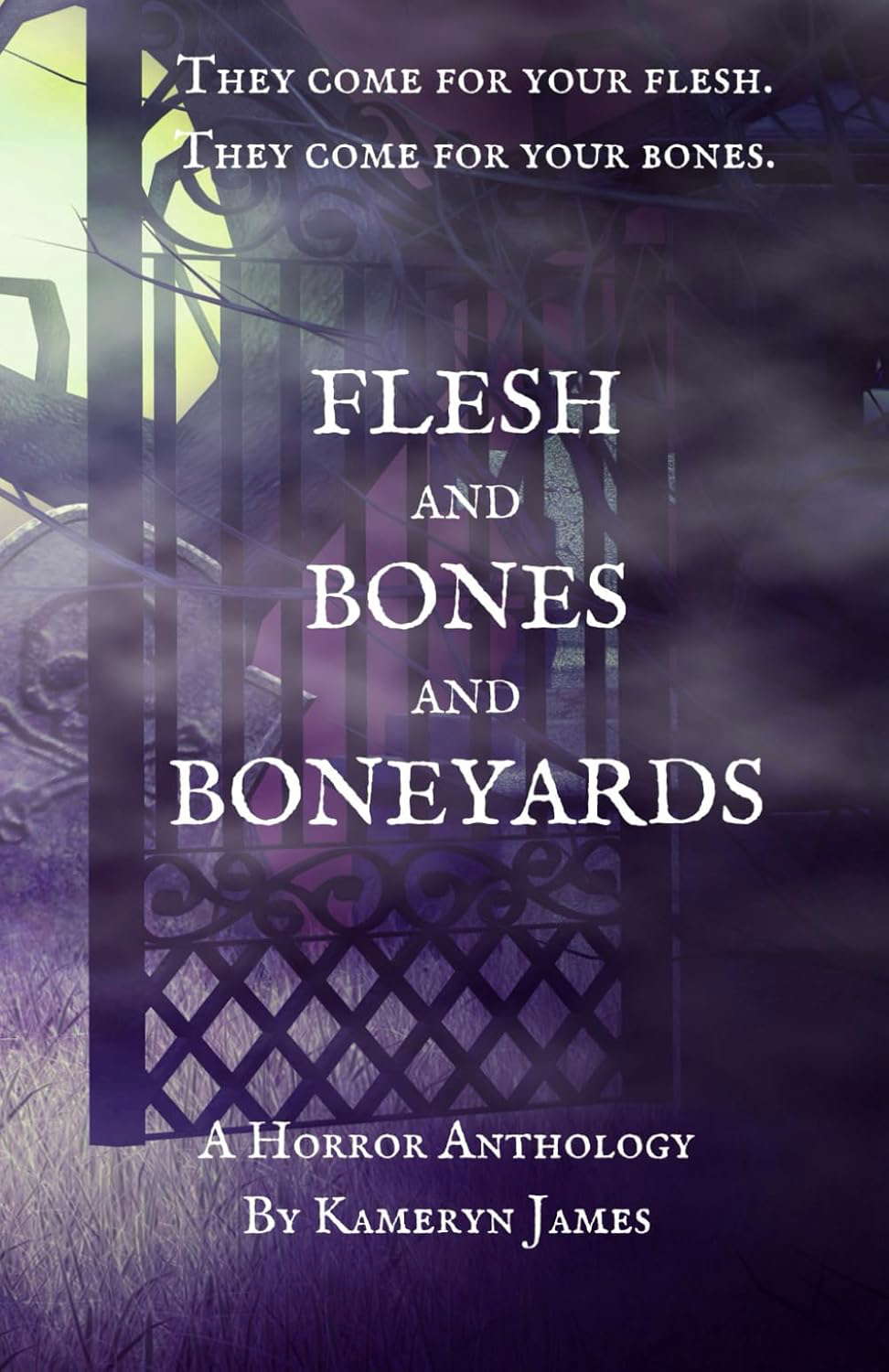Flesh and Bones and Boneyards poster