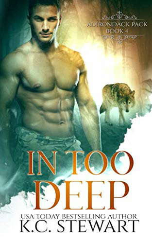 In Too Deep (Adirondack Pack) poster