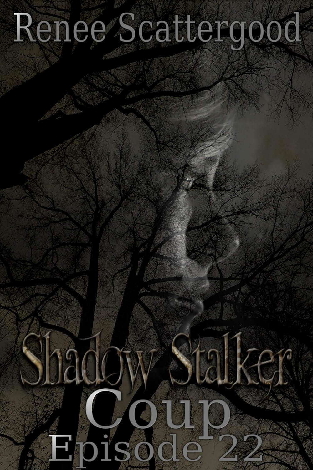 Shadow Stalker: Coup (Episode 22) (Shadow Stalker Part 4) poster