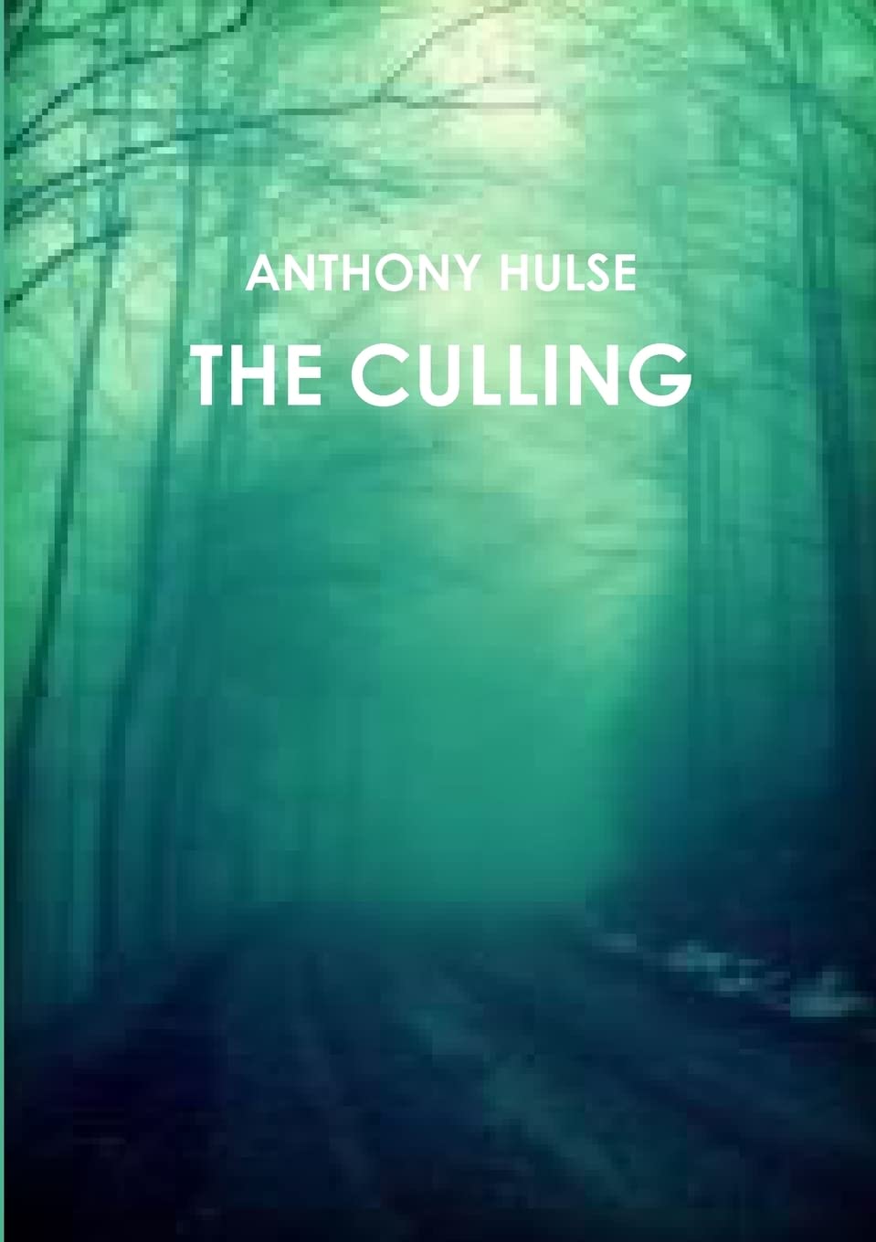 THE CULLING poster