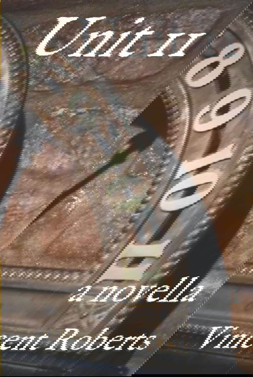 Unit 11: A Novella poster