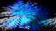 episode poster