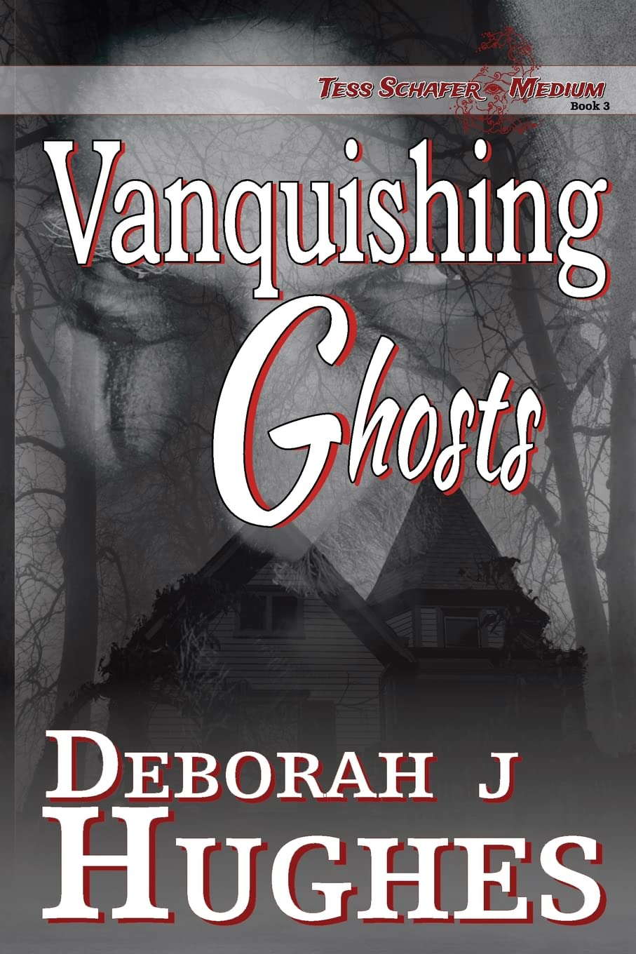 Vanquishing Ghosts (Tess Schafer-Medium) poster