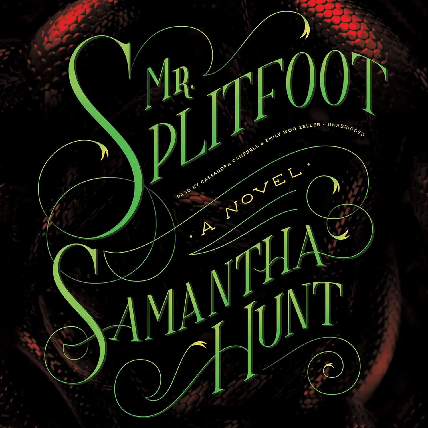 Mr. Splitfoot Lib/E poster