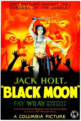 Black Moon poster