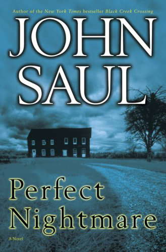 Perfect Nightmare: A Novel poster