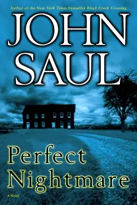 Perfect Nightmare: A Novel poster