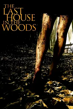 The Last House in the Woods poster