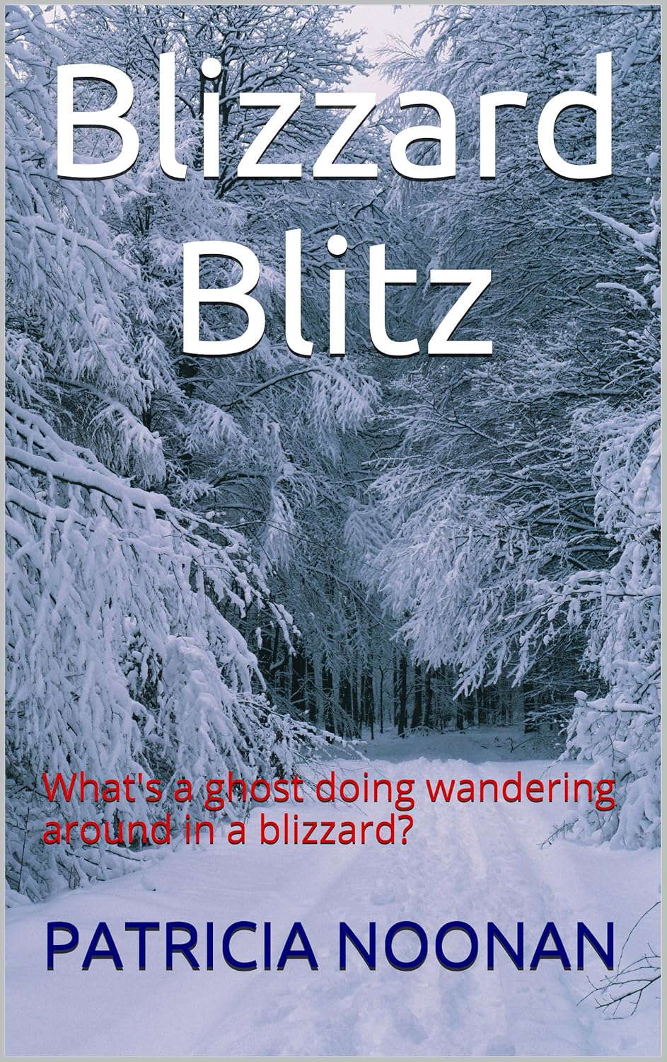 Blizzard Blitz: What's a spirit doing wandering around in a blizzard? poster