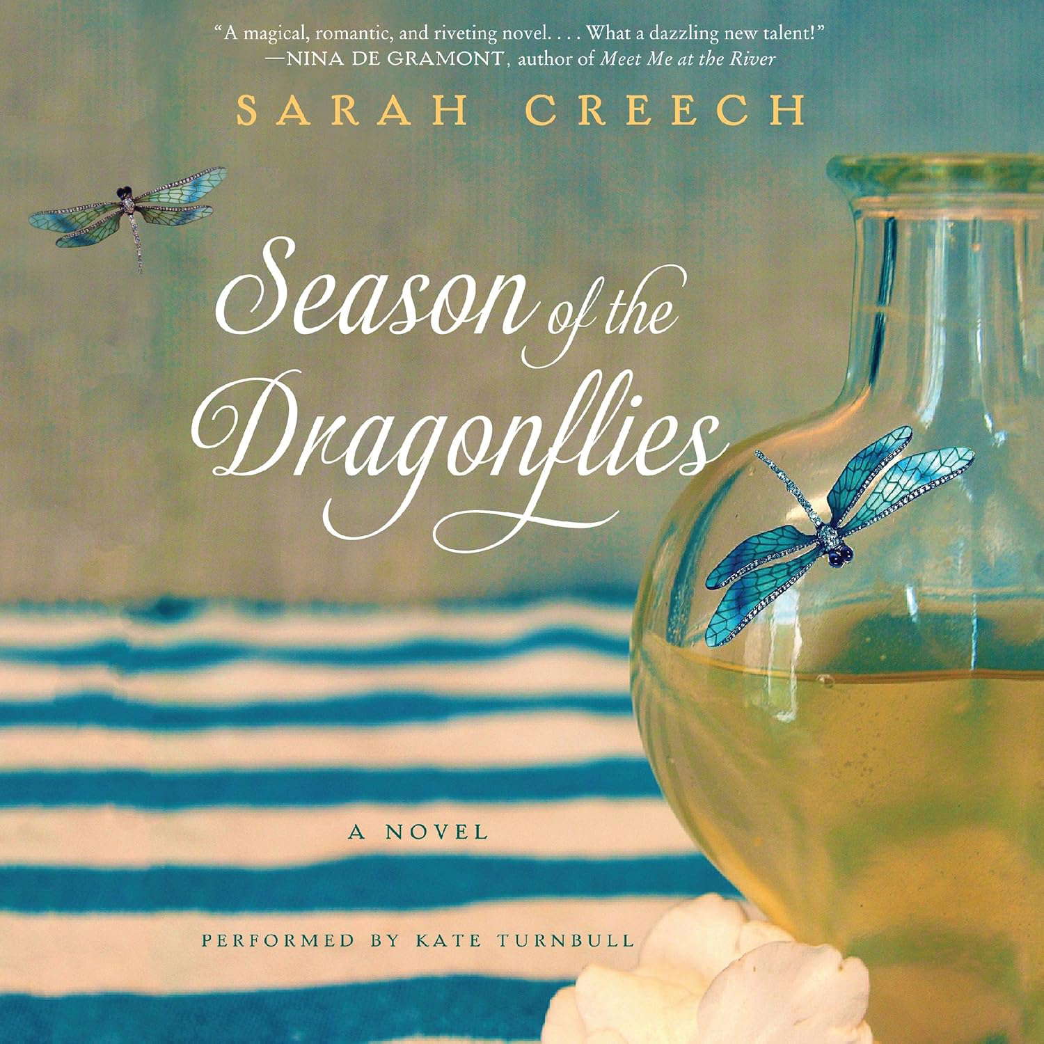 Season of the Dragonflies: A Novel poster